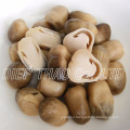 WHOLESALE PRICES DRIED STRAW MUSHROOM